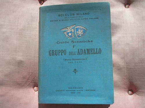Guide sciistiche gruppo - sciistiche, ia