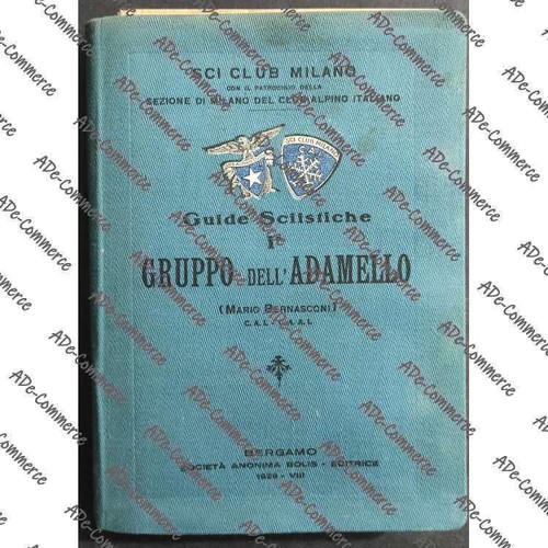 Guide sciistiche gruppo - sciistiche, i°